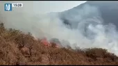 Huaral: Incendio forestal en la comunidad de Sumbilca - Noticias de comunidades