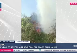 Huaura: Incendio forestal arrasó con cultivos y maleza