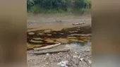 Humberto Campodónico: Derrame de petróleo en río Marañón fue provocado - Noticias de derrame-petroleo