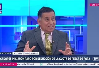 Icochea: Cuota de pesca de pota no tiene sustento científico