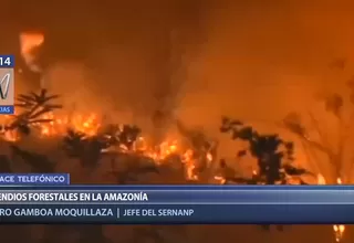 Incendio en Amazonía: Sernanp dice que son remotas las posibilidades que llegue al Perú