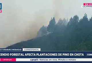 Incendio forestal afectó bosques de pino en Chota