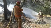 Áncash: incendio forestal arrasó 15 hectáreas de bosque - Noticias de huaraz