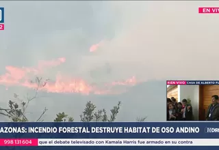 Incendio forestal destruye hábitat del oso andino