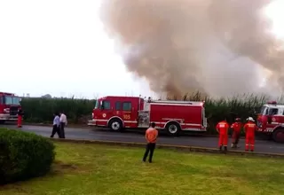 Incendio en Pantanos de Villa: evacuaron a alumnos de colegios cercanos