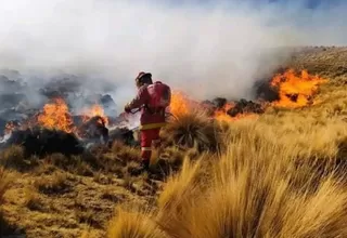 Incendios forestales: Así se desarrolla la emergencia en el Perú