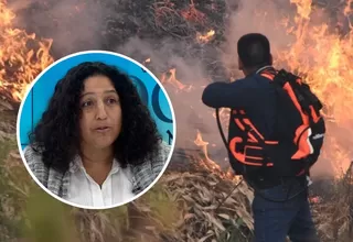 Incendios forestales: ¿Qué habría provocado la emergencia?