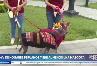INEI: El 64,0 % de hogares peruanos tiene al menos una mascota