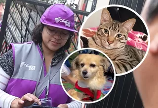 INEI aplicará módulo sobre mascotas en la Encuesta Nacional de Hogares desde julio