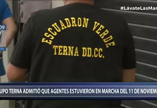 Jefe de Grupo Terna admite que sus agentes estuvieron en la marcha del 11 de noviembre