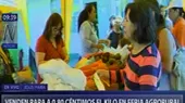 Jesús María: ofertan el kilo de papa a 0.80 céntimos en feria Agrorural - Noticias de agrorural