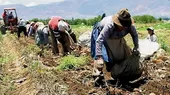 Jorge Montenegro: La próxima semana anunciaremos el Fondo de Apoyo Empresarial para agricultores - Noticias de agricultores