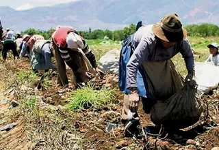 Jorge Montenegro: La próxima semana anunciaremos el Fondo de Apoyo Empresarial para agricultores