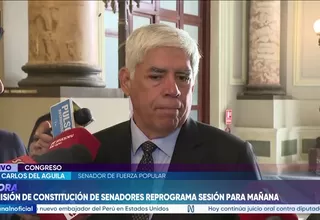 Del Águila afirma que el Senado aún no define cambios al pedido de facultades legislativas