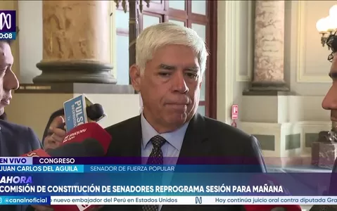 Del Águila afirma que el Senado aún no define cambios al pedido de facultades legislativas