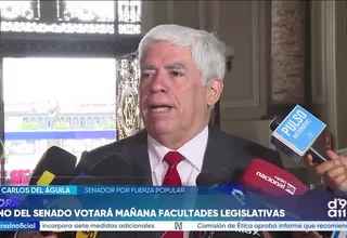 Juan Carlos del Águila pide respaldo del Congreso a facultades legislativas y cuestiona a Juntos por el Perú