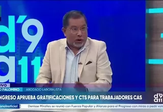 Julio Palomino: Se debe evaluar presupuesto para CTS y gratificaciones CAS