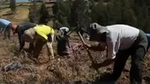 Junín: empadronan a agricultores para entrega de bono - Noticias de melgar