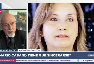 Lamas Puccio: "Cabani tiene que sincerarse sobre la cirugía de la presidenta"