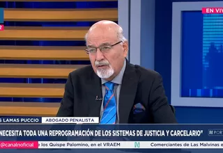 Lamas Puccio respalda ley que sanciona a menores como adultos