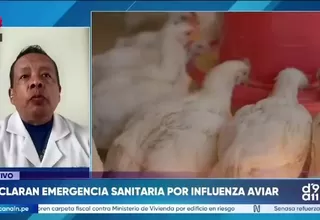 Leslie Soto: Riesgo de contagio de gripe aviar en humanos es "casi nulo"