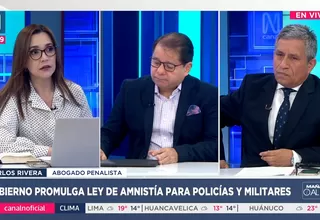 Ley de amnistía: expertos discrepan sobre su alcance y legalidad