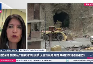 Ley MAPE: SNMPE cuestiona celeridad del Congreso