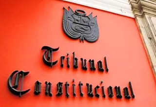 TC verá hoy la demanda de inconstitucionalidad contra la 'Ley Mulder'