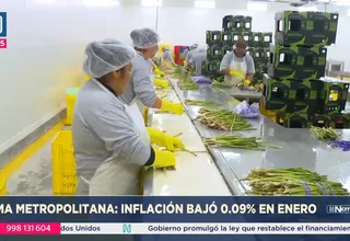 Lima Metropolitana: Inflación bajó 0.09 % en enero