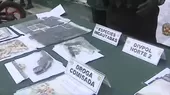 Lima Norte: Policía Nacional informa sobre captura de 4 bandas delincuenciales  - Noticias de festival-cine-lima-2014