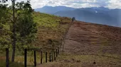 Ministros de América Latina verán en Lima recuperación de tierras degradadas - Noticias de Serfor