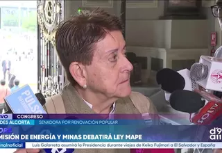 Lourdes Alcorta cuestiona plazos de ley MAPE y pide decisión política para formalizar la minería