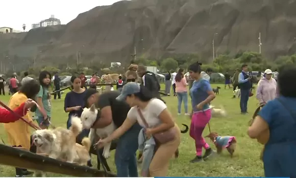 Magdalena del Mar: inauguran parque canino que estará abierto las 24 horas  y cuidado por serenazgo, Francis Allison, Sociedad