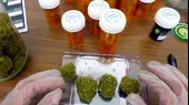 Otorgan la primera licencia para venta de marihuana medicinal en el Perú - Noticias de oxigeno-medicinal