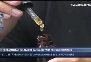 Piden reglamentar cultivo de cannabis con fines medicinales