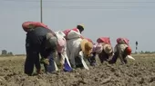 Midagri: Bono por sequía se entregará a productos agrarios de 407 distritos afectados  - Noticias de alex-paredes