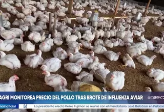Midagri monitorea precio del pollo por influenza aviar