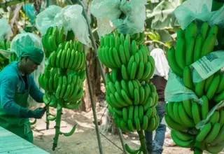 El Minagri invertirá S/ 14 millones en proyectos de innovación agraria