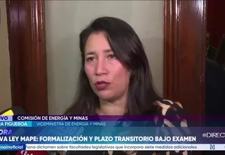 Minem: ley MAPE plantea un régimen de consolidación de 18 meses y descarta ampliar el Reinfo