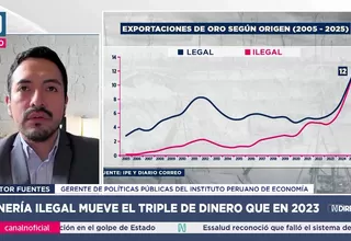 Minería ilegal mueve US$12 mil millones y lidera economías delictivas