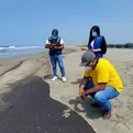 Ministerio del Ambiente: 19 playas siguen aún contaminadas con petróleo