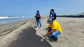 Ministerio del Ambiente: 19 playas siguen aún contaminadas con petróleo - Noticias de ministerio-produccion