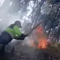 Ministerio del Ambiente: El 98% de incendios forestales fue provocado