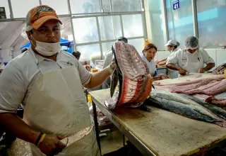 Ministerio de la Producción: precio del pescado cayó 7% en 6 meses