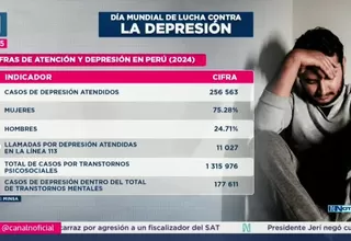 Ministerio de Salud: Más de 222 mil personas atendidas en 2025 por depresión