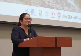 Ministra del Ambiente espera que reglamento de ley de plásticos se apruebe pronto