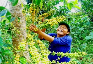 Ministro de Agricultura prevé crecimiento del sector en 5% para 2021