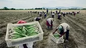 Ministro Tenorio: “Esperamos que nueva ley agraria recoja expectativas de trabajadores” - Noticias de recojo