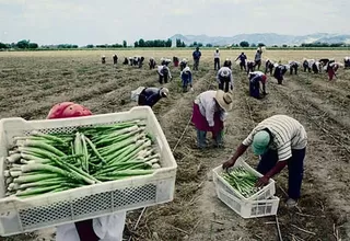 Ministro Tenorio: “Esperamos que nueva ley agraria recoja expectativas de trabajadores”