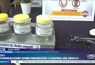 Minsa advierte que el calor acelera la reproducción del dengue